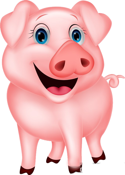 pig
